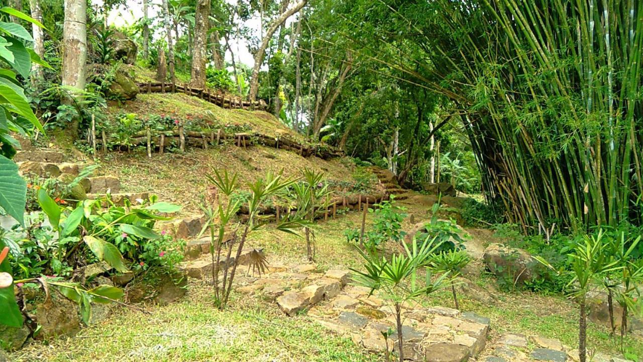 Pousada Hang Conectada Com A Natureza Florianópolis Εξωτερικό φωτογραφία