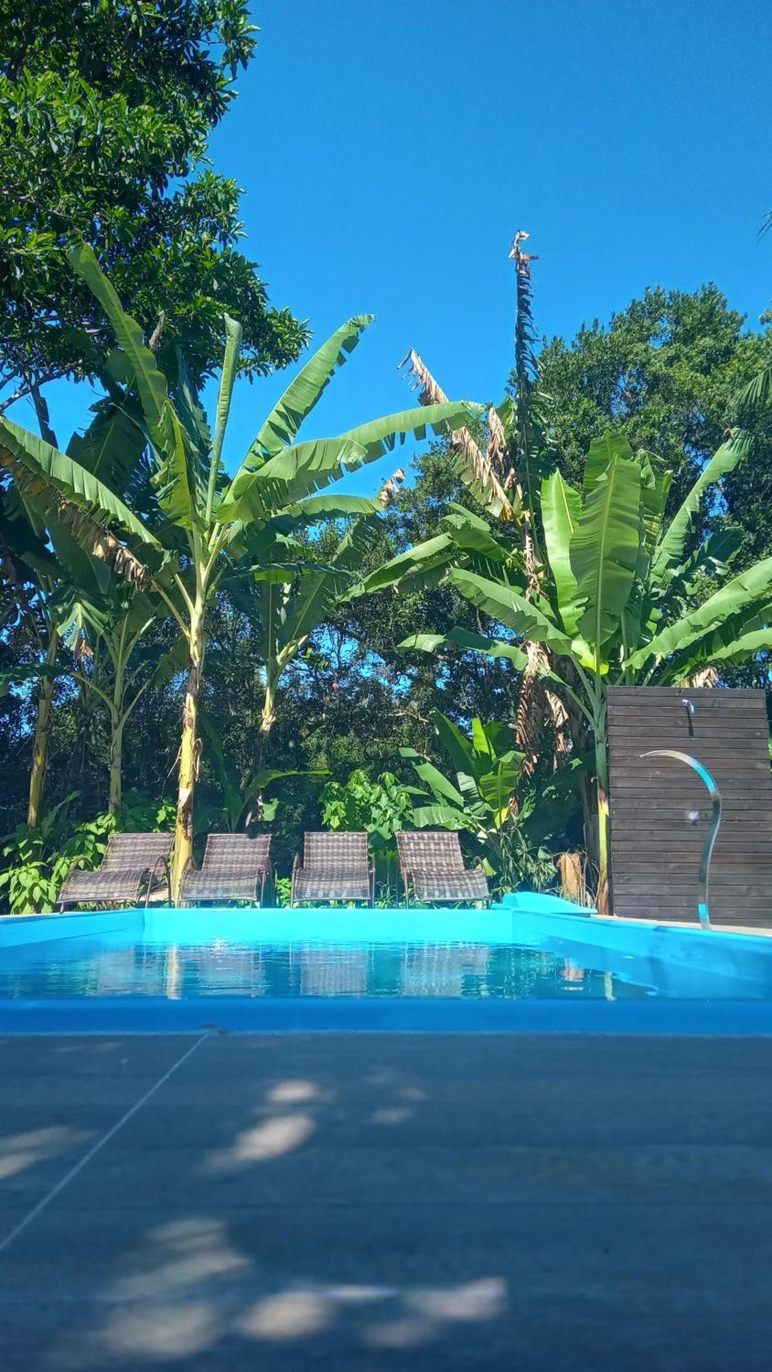 Pousada Hang Conectada Com A Natureza Florianópolis Εξωτερικό φωτογραφία